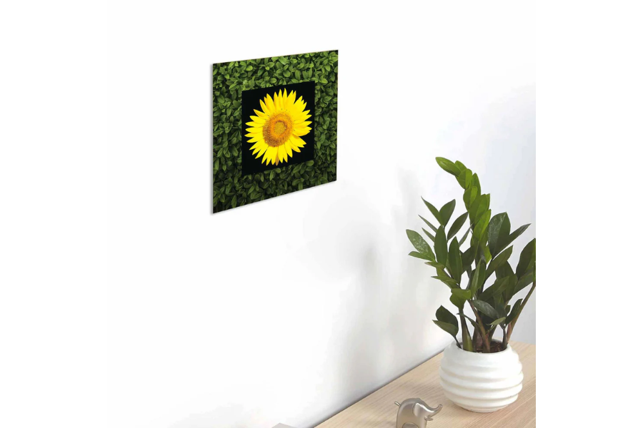 XAROX Sunflower with Background Miniature Fine Wall Art TG