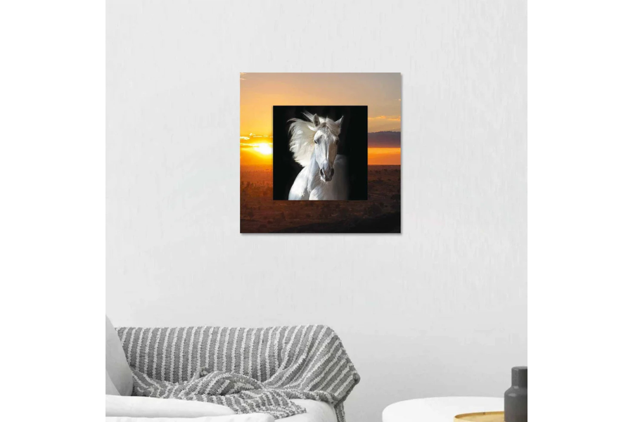 XENTOR White Horse with Background Miniature Fine Wall Art TG