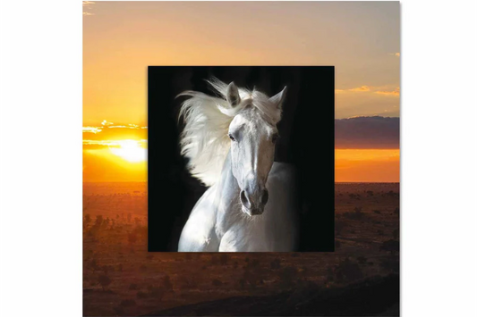 XENTOR White Horse with Background Miniature Fine Wall Art TG