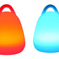 LED Egg Lamp with Handle - Venini Furniture 
