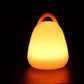 LED Egg Lamp with Handle - Venini Furniture 