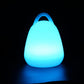LED Egg Lamp with Handle - Venini Furniture 